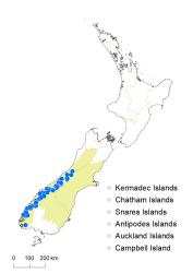 Veronica ciliolata subsp. ciliolata distribution map based on databased records at AK, CHR & WELT.
 Image: K.Boardman © Landcare Research 2022 CC-BY 4.0